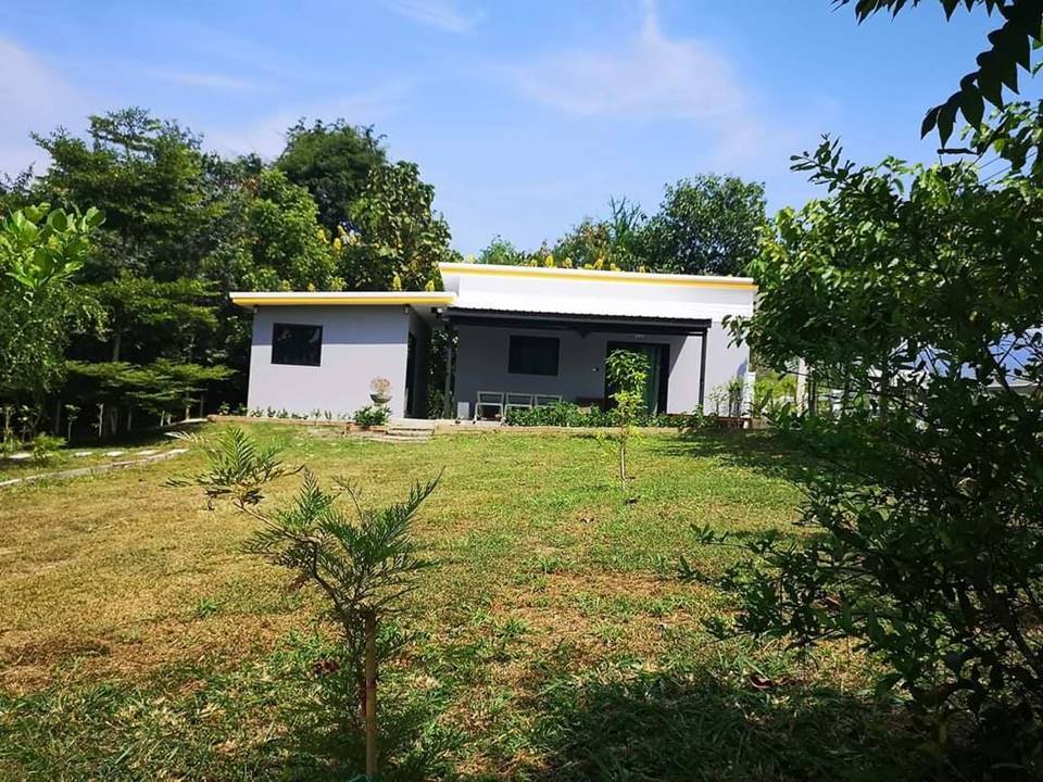 ที่พักใกล้เขาใหญ่หมาใหญ่พักได้