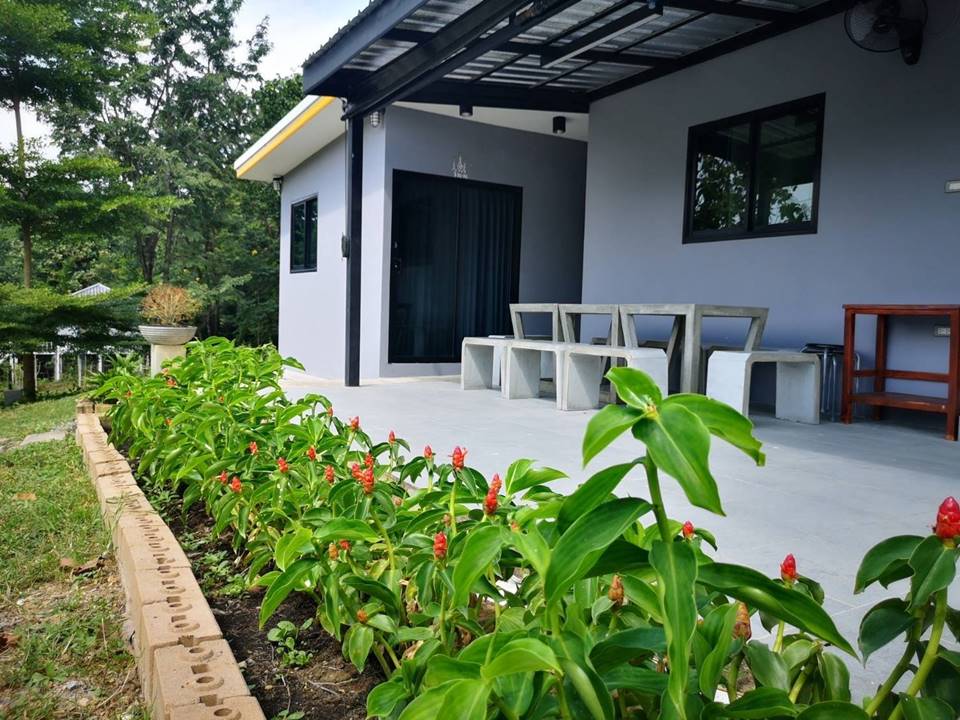 ที่พักใกล้เขาใหญ่หมาใหญ่พักได้