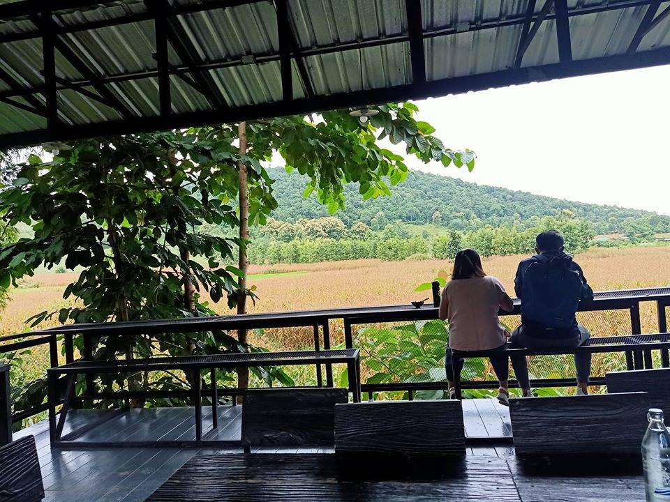 ที่พักแม่สอดหมาพักได้