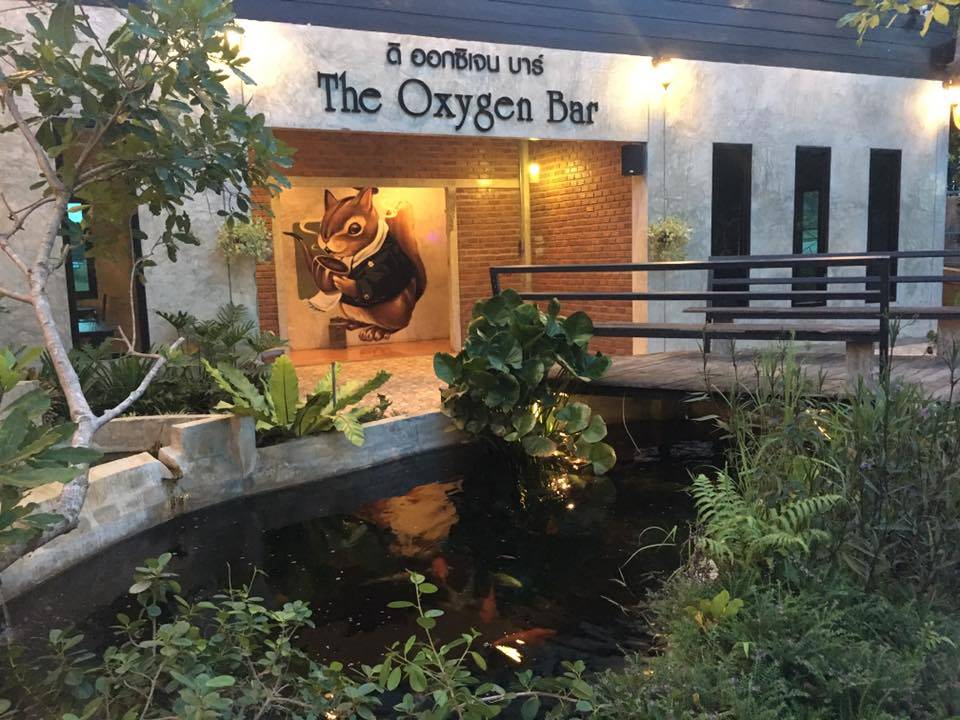 ที่พักแม่สอดหมาพักได้