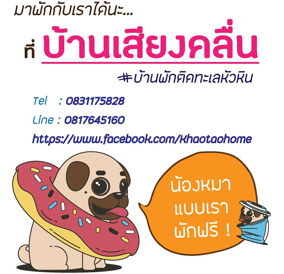 ที่พักเขาเต่าน้องหมาพักได้