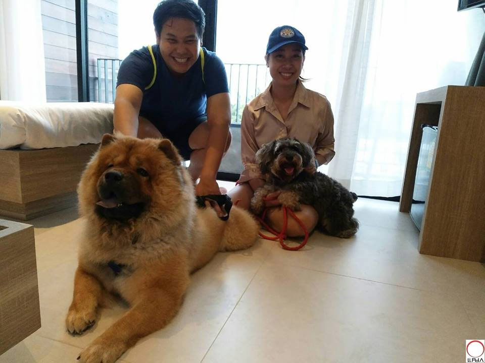 ลิปดารีสอร์ทประจวบหมาใหญ่พักได้