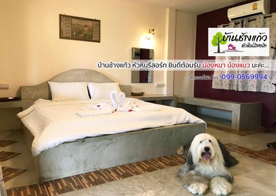 ที่พักหลักร้อยหัวหินน้องหมาพักได้