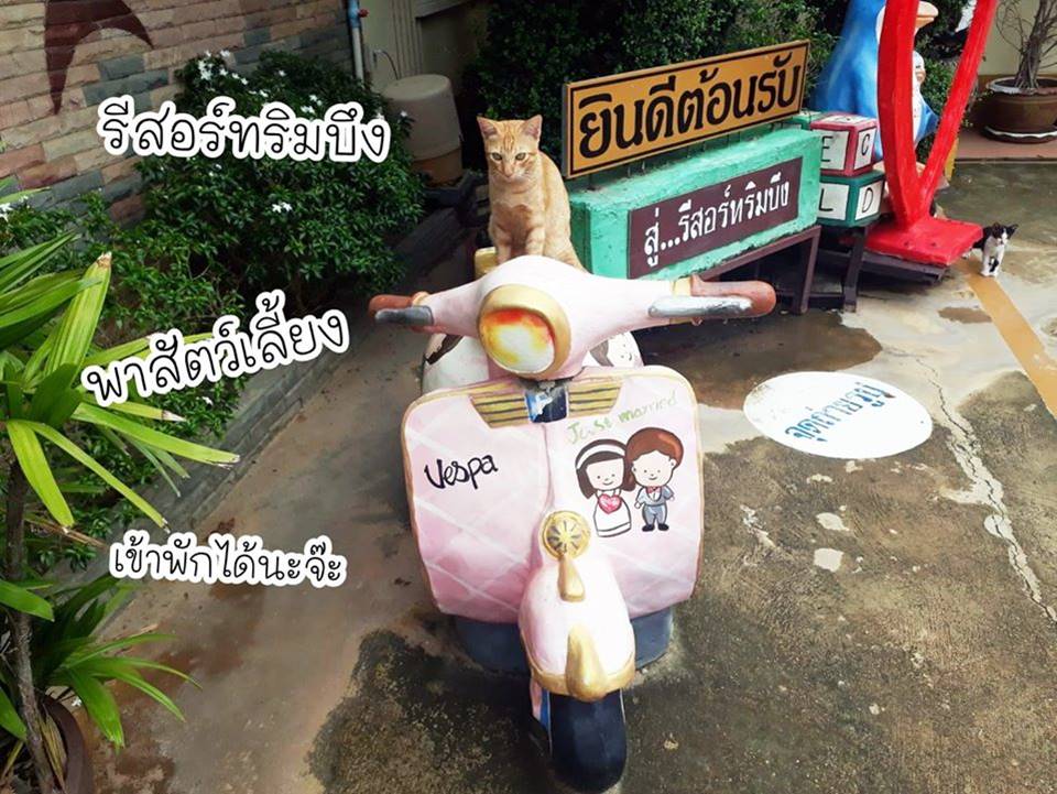 ที่พักปราณน้องหมาพักได้