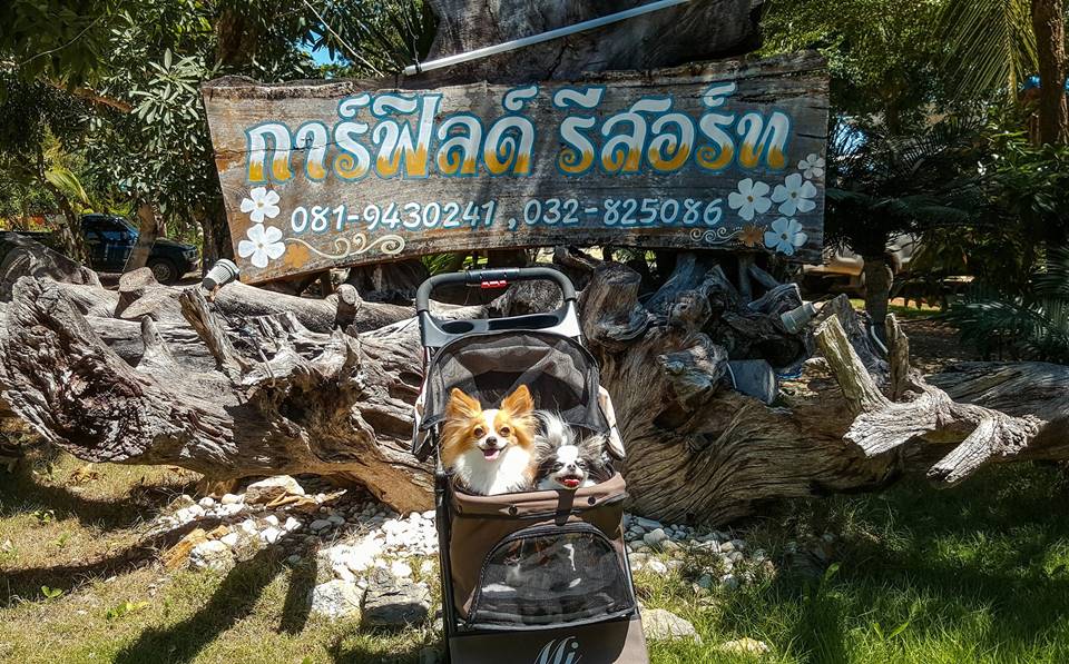 ที่พักปราณบุรีน้องหมาพักได้