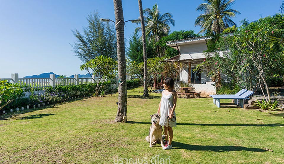 ปราณบุรีน้องหมาพักได้