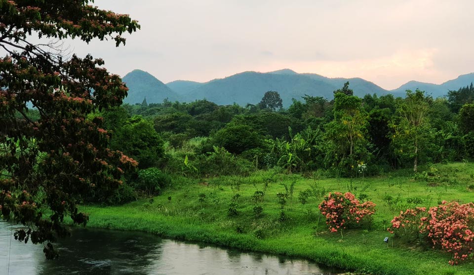 ที่พักหมาพักได้เพชรบุรี