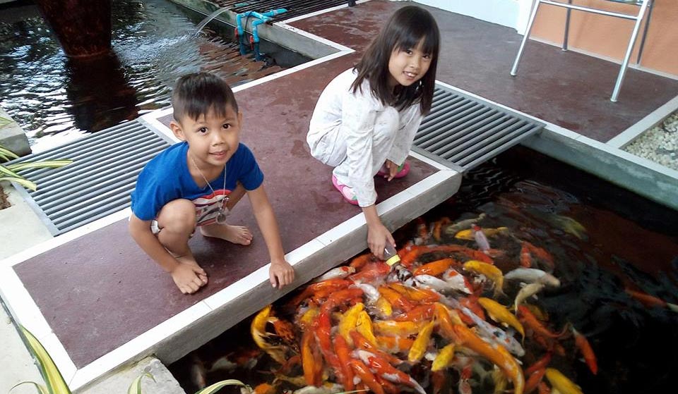 ที่พักชะอำน้องหมาพักได้