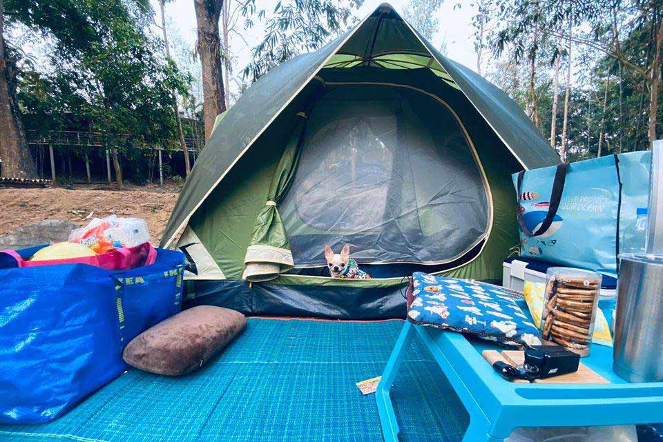 ที่พักสวนผึ้งหมาพักได้