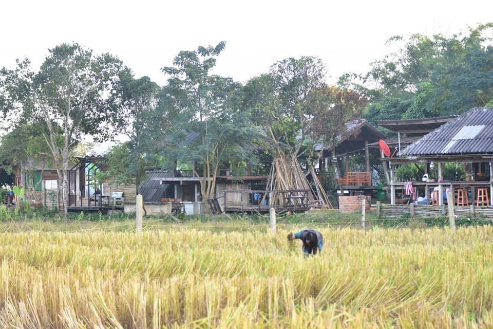 บ้านพักในเชียงรายหมาพักได้