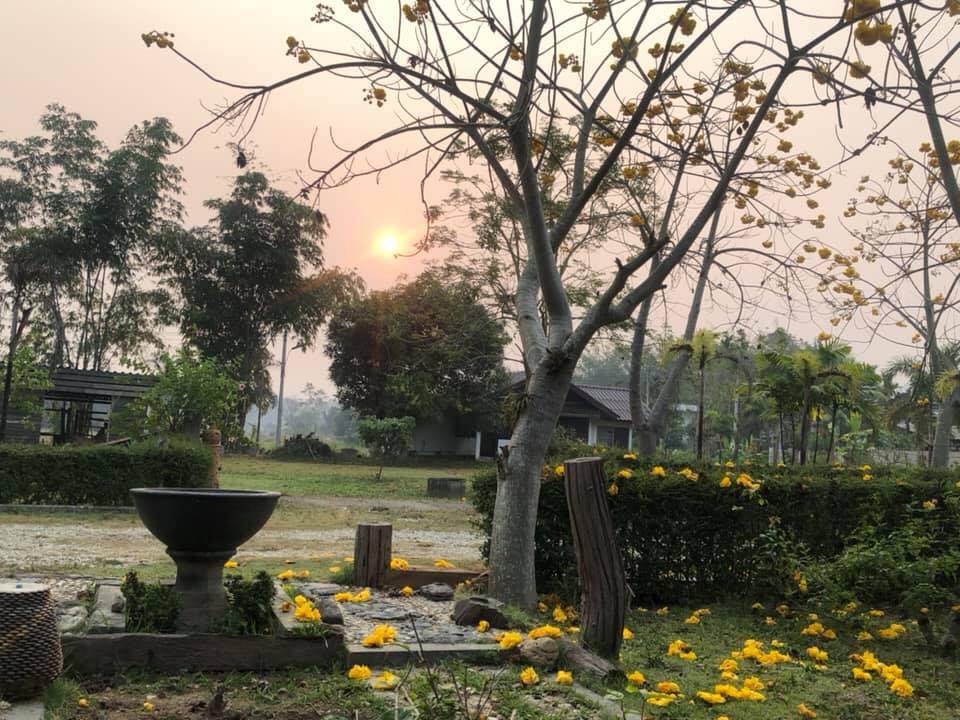 ที่พักเชียงรายหมาพักได้