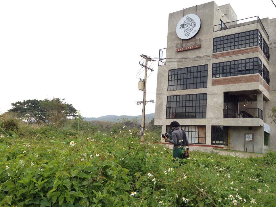 ที่พักในเมืองเชียงใหม่น้องหมาพักได้