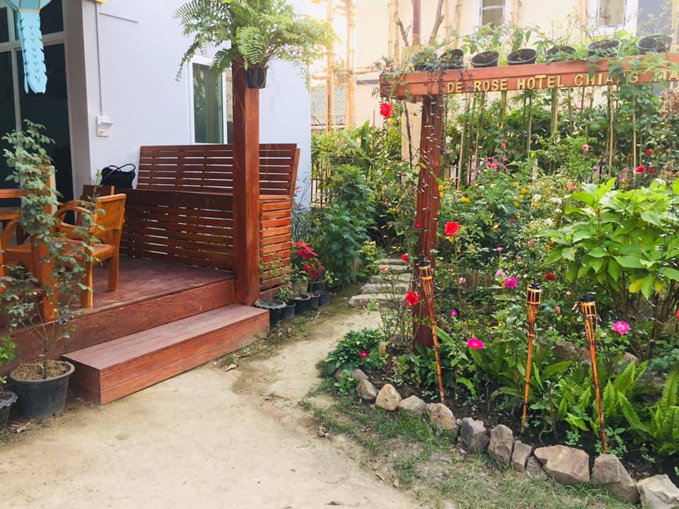 ที่พักเชียงใหม่ในเมืองหมาพักได้
