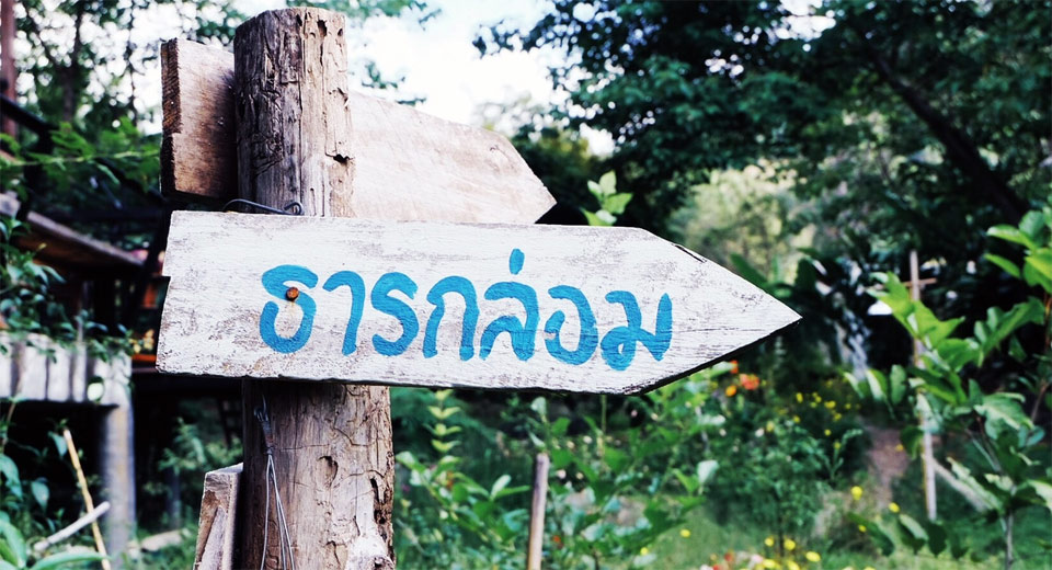 บ้านพักริมธาร บ้านธารกล่อม แม่แตงน้องหมาพักได้