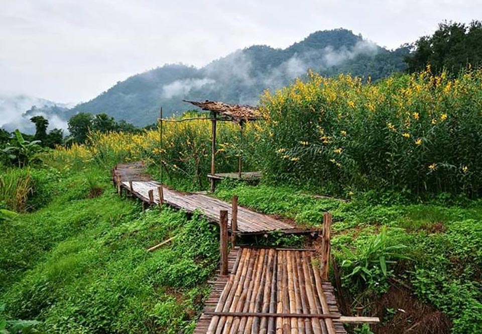 บ้านพักริมธาร บ้านธารกล่อม แม่แตงน้องหมาพักได้