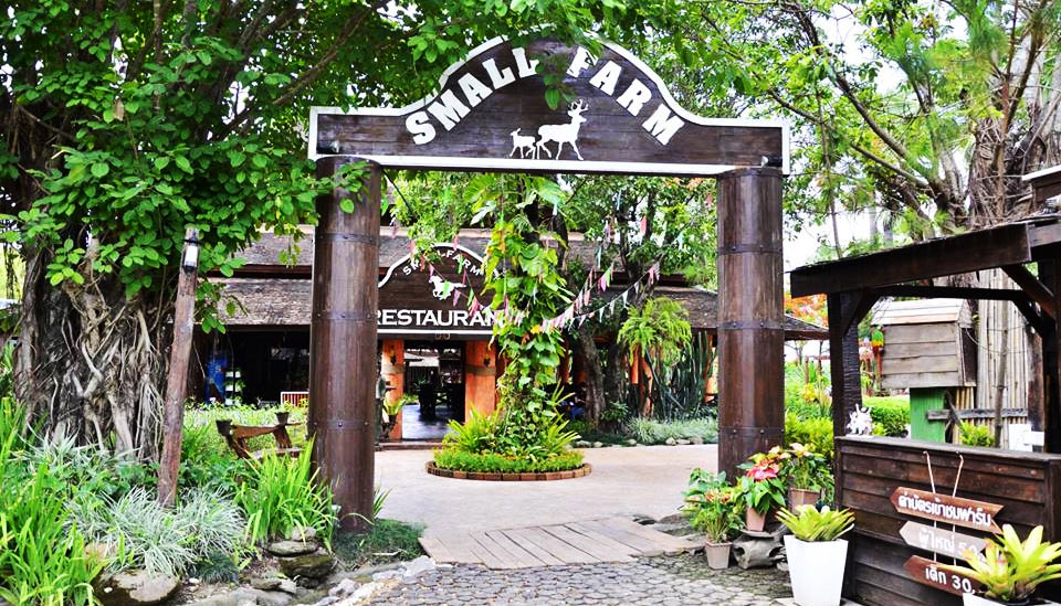 ที่พักดอยอินทนนท์หมาพักได้
