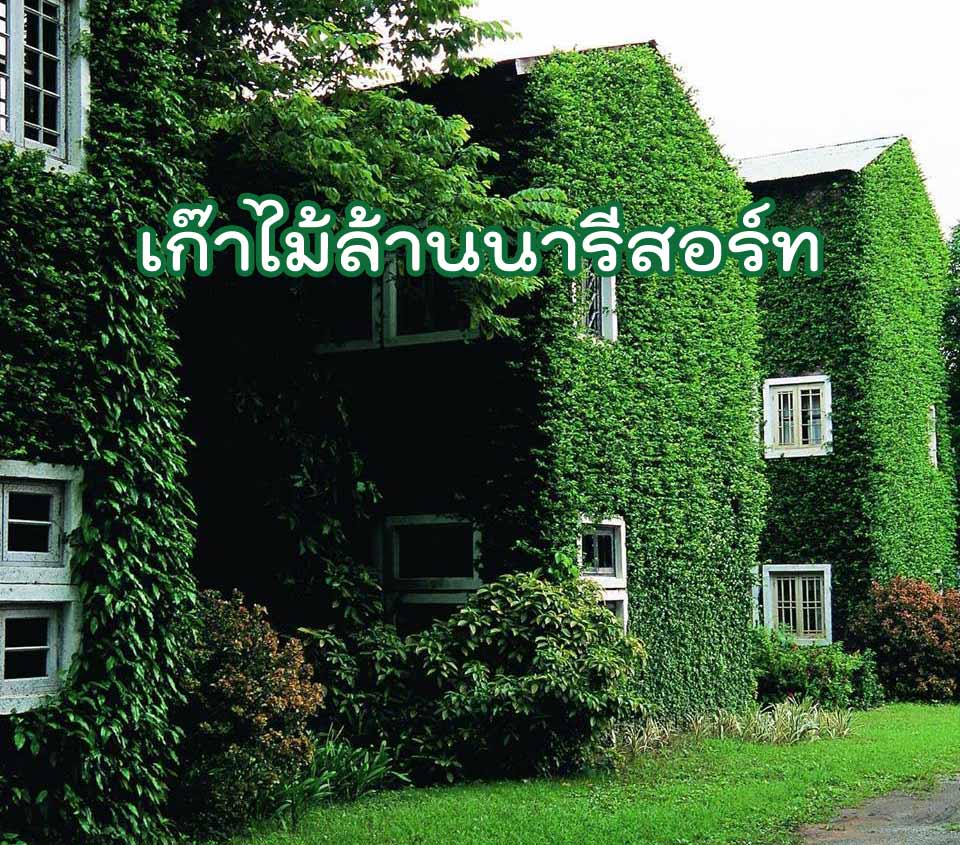 ที่พักสันป่าตองเชียงใหม่น้องหมาพักได้