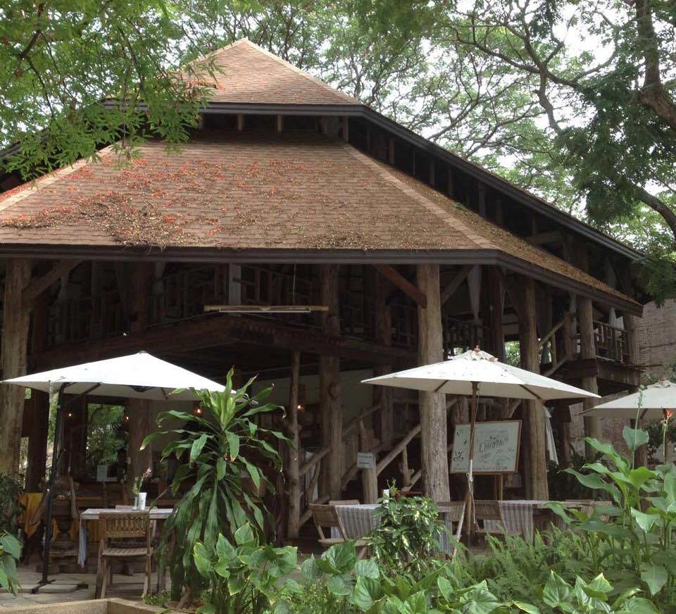 ที่พักสันป่าตองเชียงใหม่น้องหมาพักได้