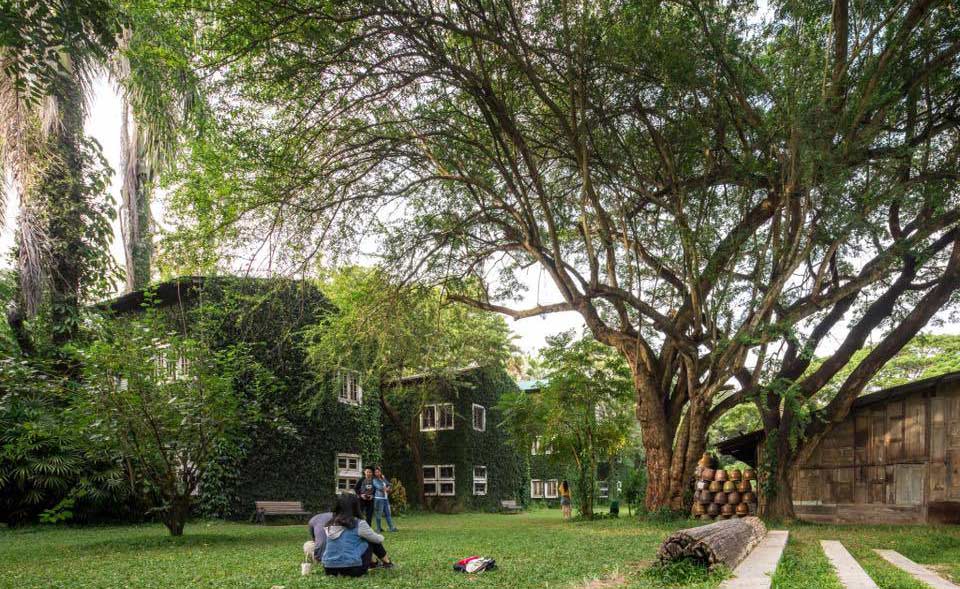 ที่พักสันป่าตองเชียงใหม่น้องหมาพักได้