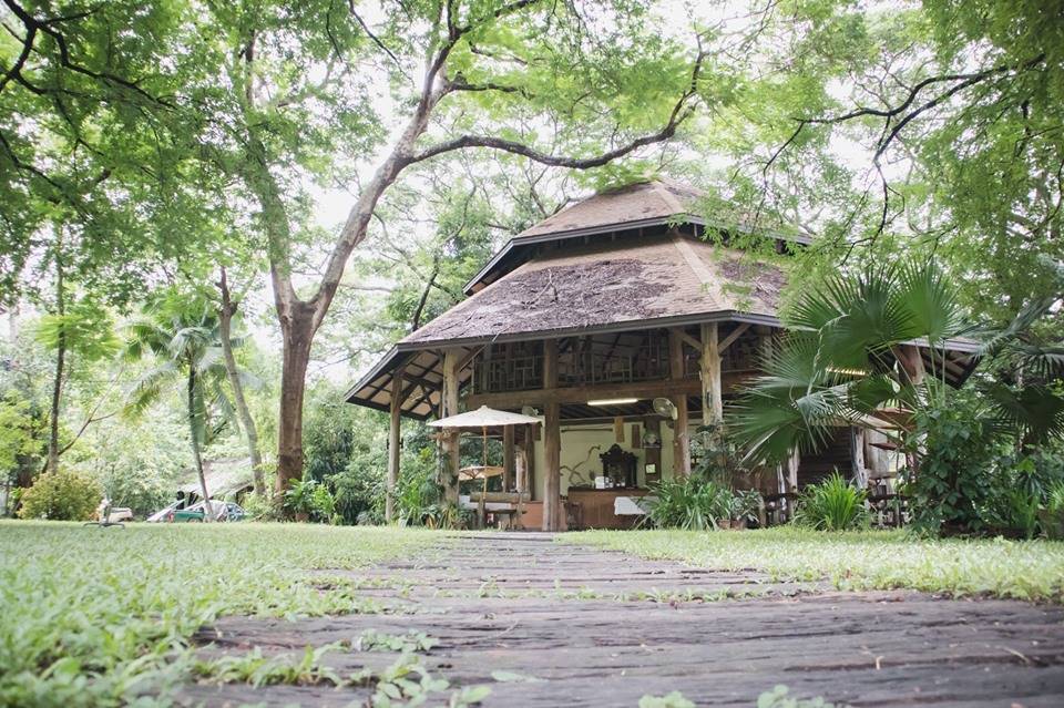 ที่พักสันป่าตองเชียงใหม่น้องหมาพักได้