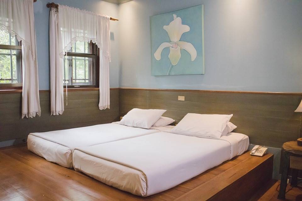 ที่พักสันป่าตองเชียงใหม่น้องหมาพักได้