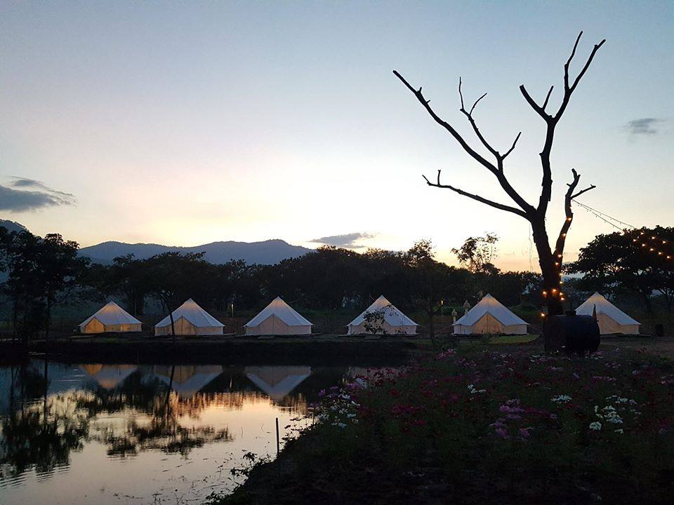 ที่พักแม่ริมหมาพักได้