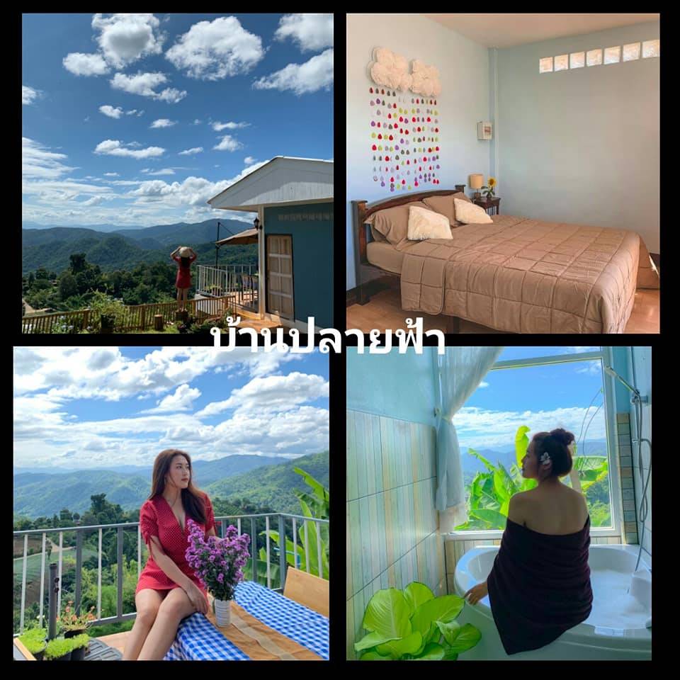 ที่พักแม่แตงเชียงใหม่หมาพักได้