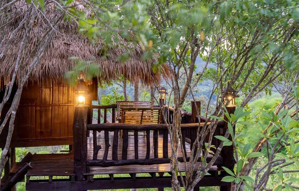ที่พักแม่วางเชียงใหม่หมาพักได้