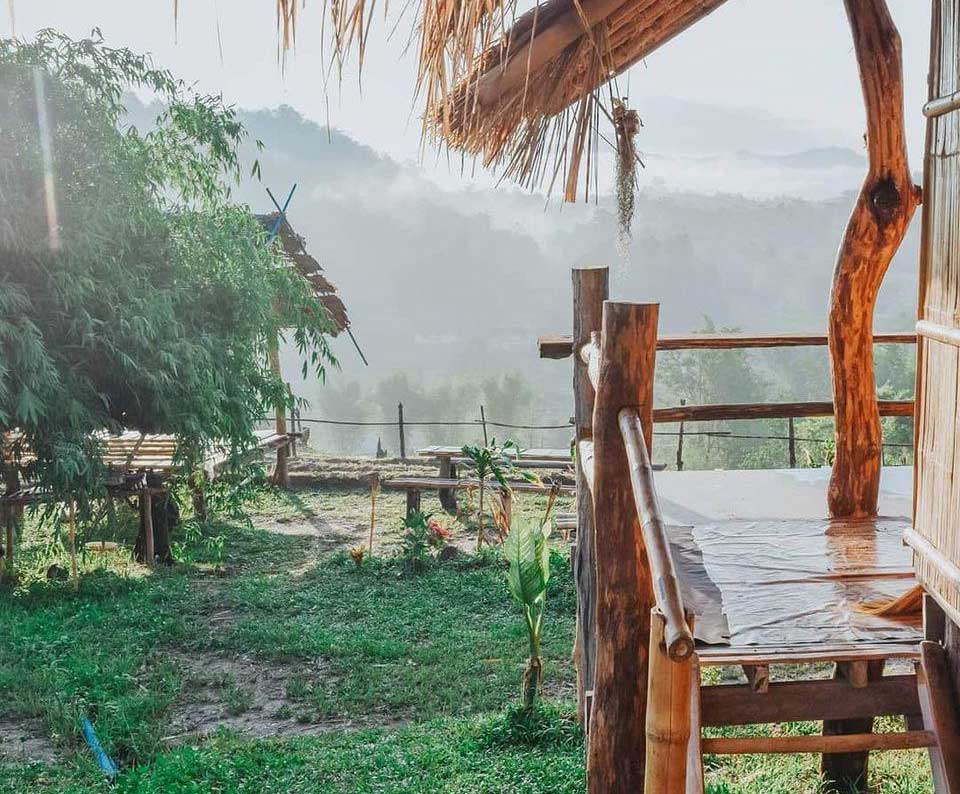 ที่พักแม่วางเชียงใหม่หมาพักได้