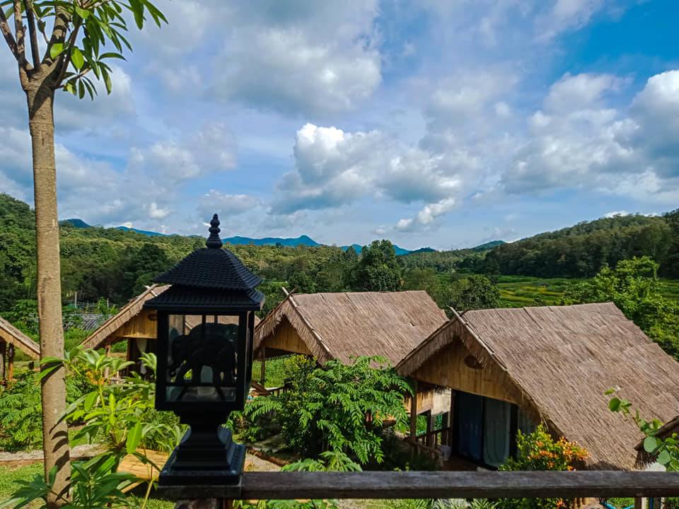ที่พักแม่วางเชียงใหม่หมาพักได้