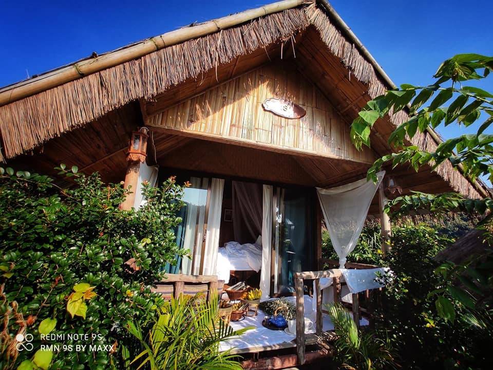 ที่พักแม่วางเชียงใหม่หมาพักได้