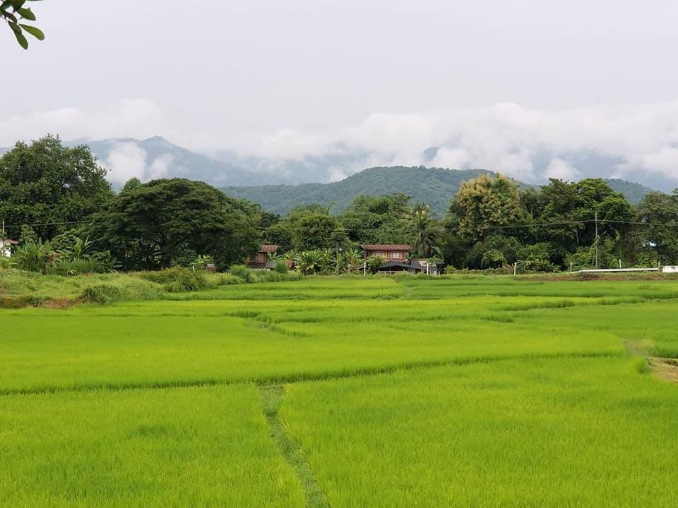 ที่พักเมืองน่านน้องหมาพักได้