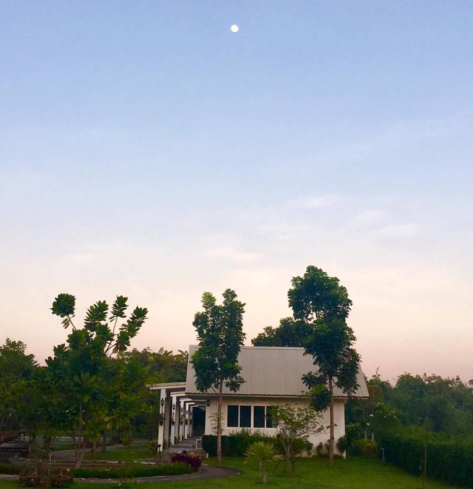 ที่พักป่าซางลำพูนหมาพักได้