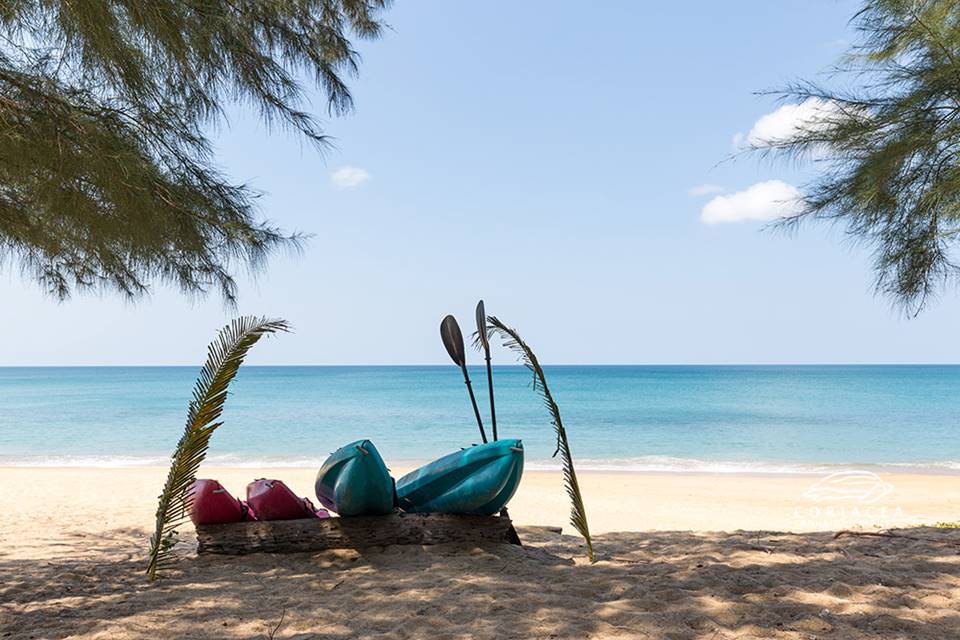 โรงแรมริมหาดไม้ขาวภูเก็ตหมาพักได้