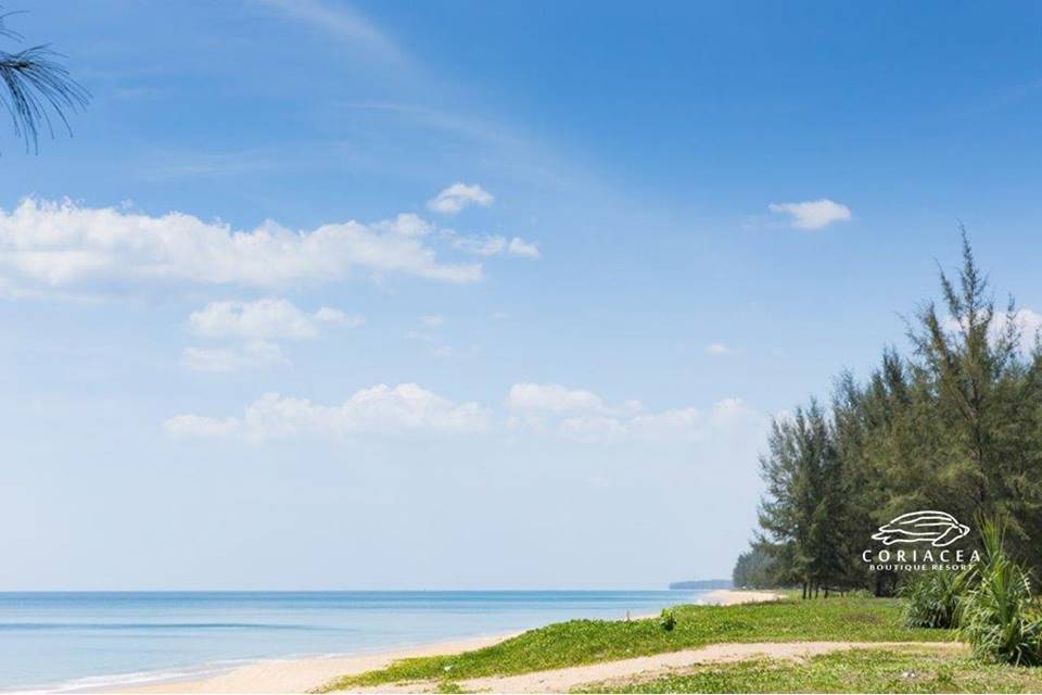 โรงแรมริมหาดไม้ขาวภูเก็ตหมาพักได้
