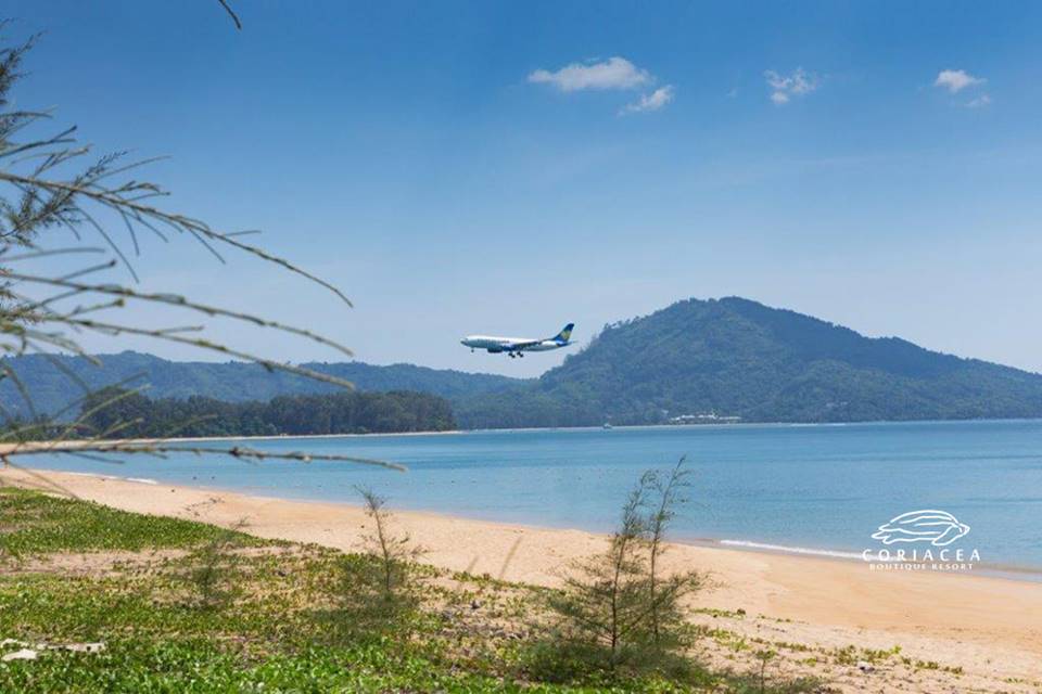 โรงแรมริมหาดไม้ขาวภูเก็ตหมาพักได้