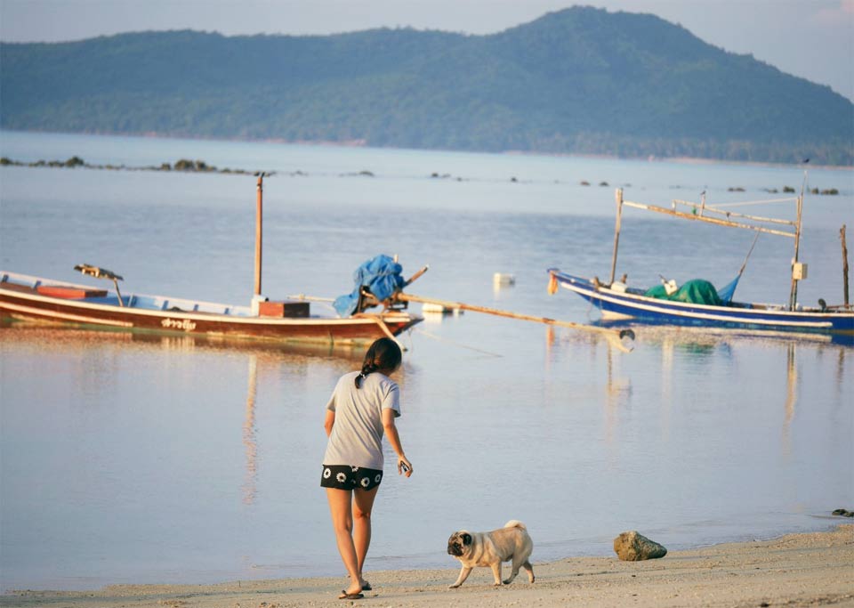 ที่พักเกาะสมุยน้องหมาพักได้