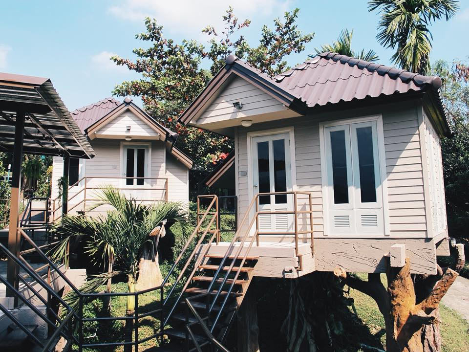 ออนฮิลล์วิลเลจน้องหมาพักได้เขาใหญ่