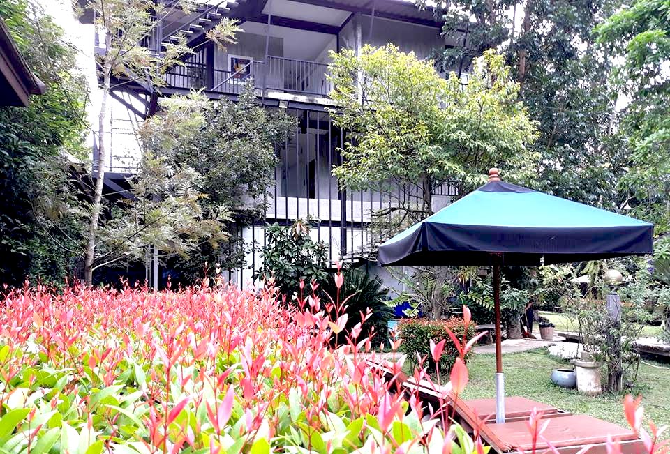 ปันธาราเขาใหญ่น้องหมาพักได้