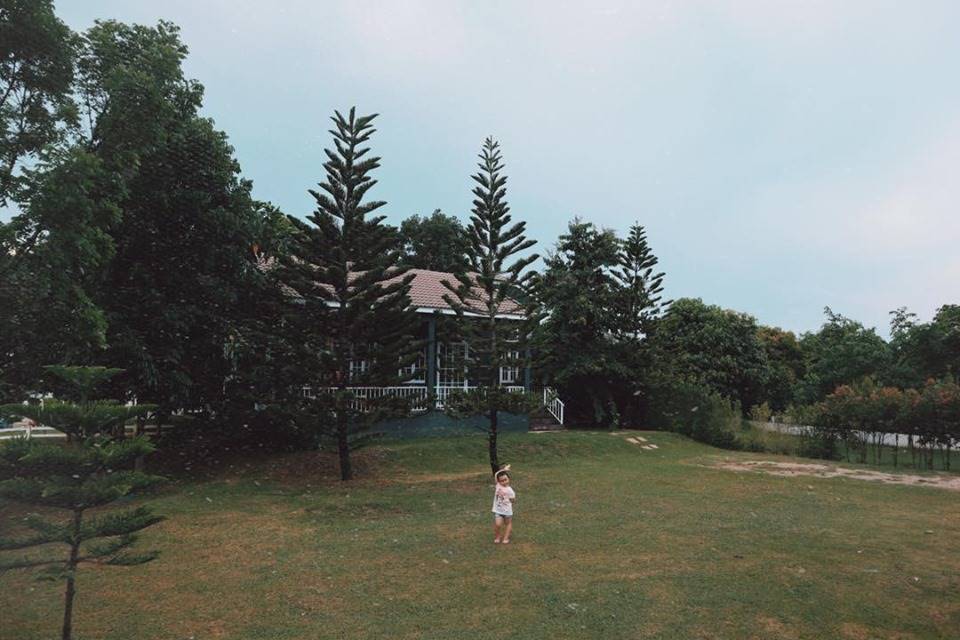 ที่พักเขาใหญ่น้องหมาพักได้