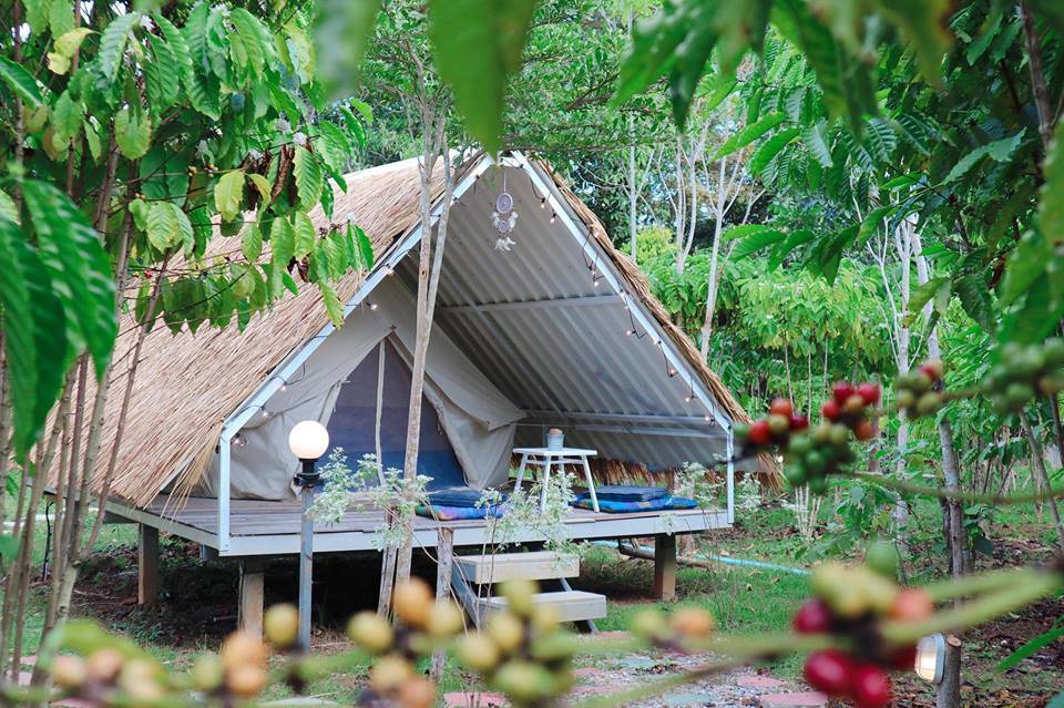 ที่พักเขาใหญ่น้องหมาพักได้