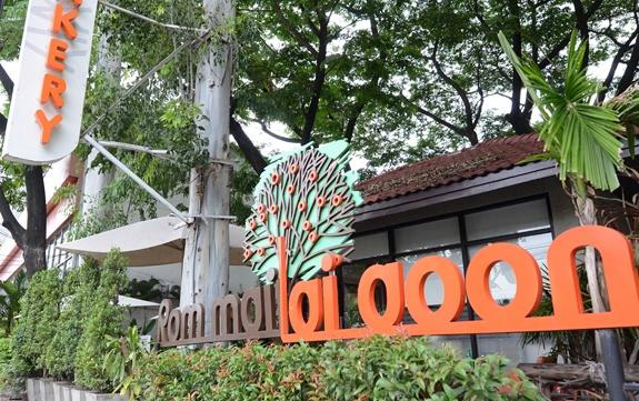 น้องหมาพักได้ แนะนำ ร่มไม้ไออุ่น ร้านกาแฟพาน้องหมามาได้