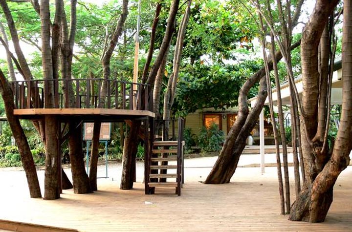 ร้านอาหาร 