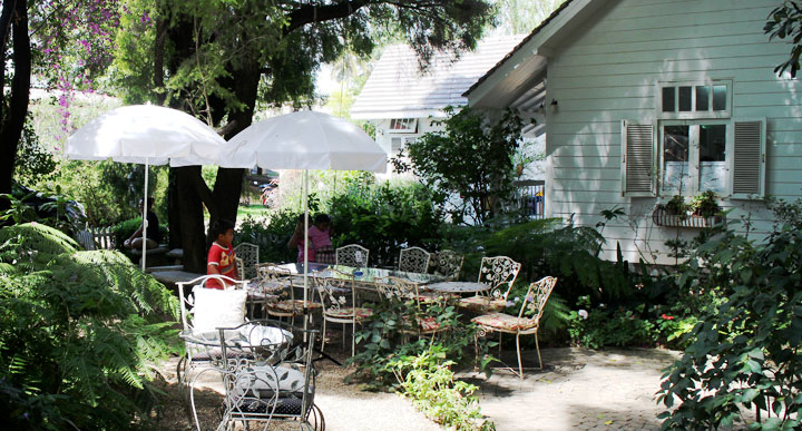 ร้านกาแฟชีวิตธรรมดา ริมแม่น้ำกก เชียงราย น้องหมาเข้าได้