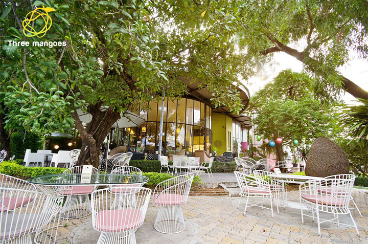 ร้านทรี แมงโก้ ถนนประชาชื่น ริมคลองประปา น้องหมาเข้าได้
